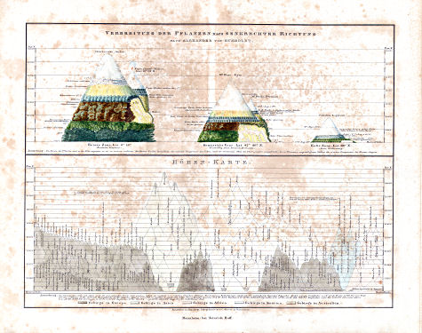 Glaser's Topisch-Physikalischer Atlas (1855)
7. Verbreitung der Pflanzen nach senkrechter Richtung nach Alexander von Humboldt. Höhen-Karte