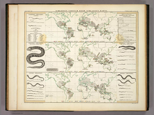 Berghaus' Physikalischer Atlas (1837-1848)
6.12. Schlegel's Versuch einer Schlangen-Karte (1845)